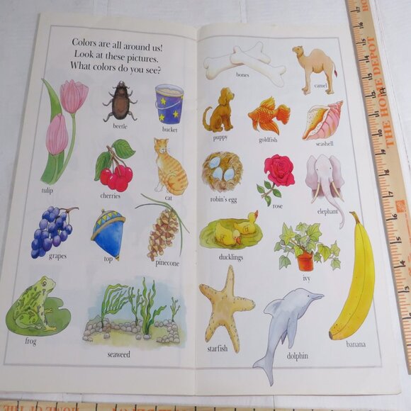 The Wonders of Learning (almost 2 feet tall) set of (3) Books Classroom - Picture 14 of 15